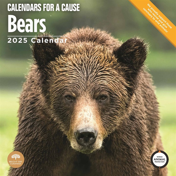 Bears Calendar 2025