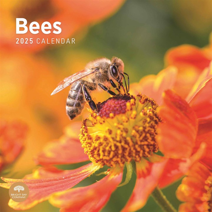 Bees Calendar 2025