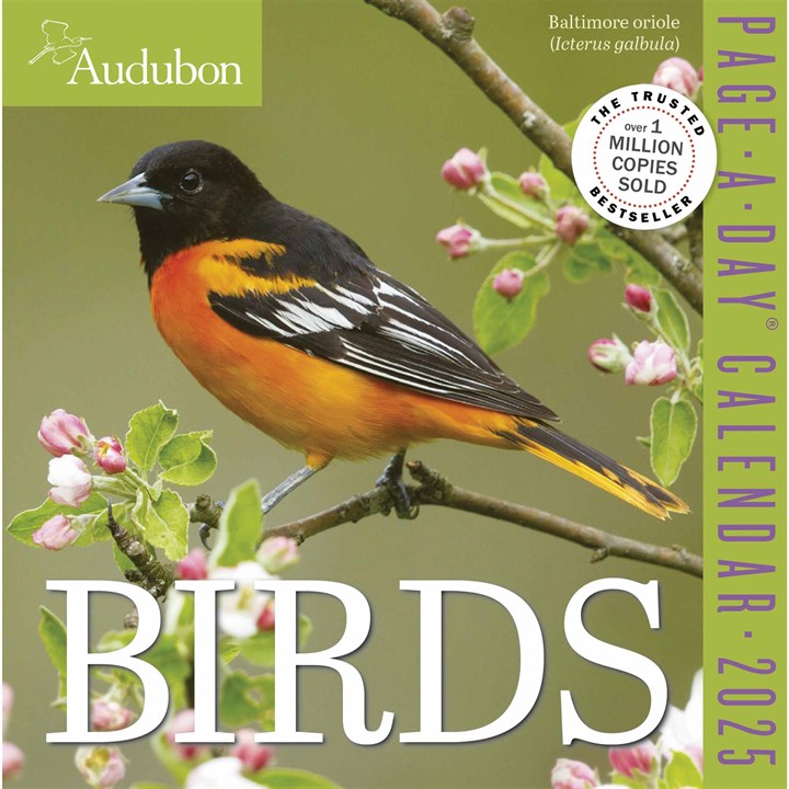 Audubon Birds Calendar 2025