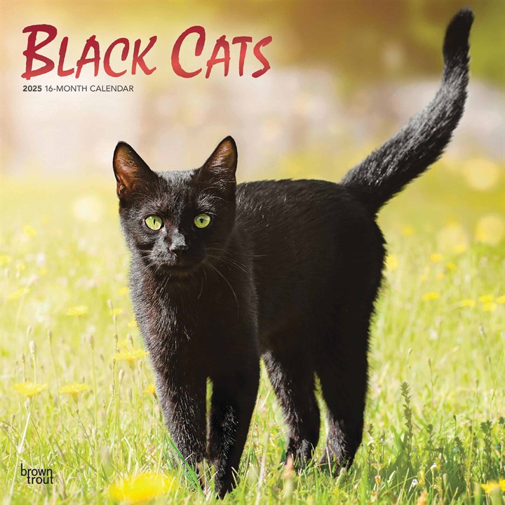 Black Cats Calendar 2025