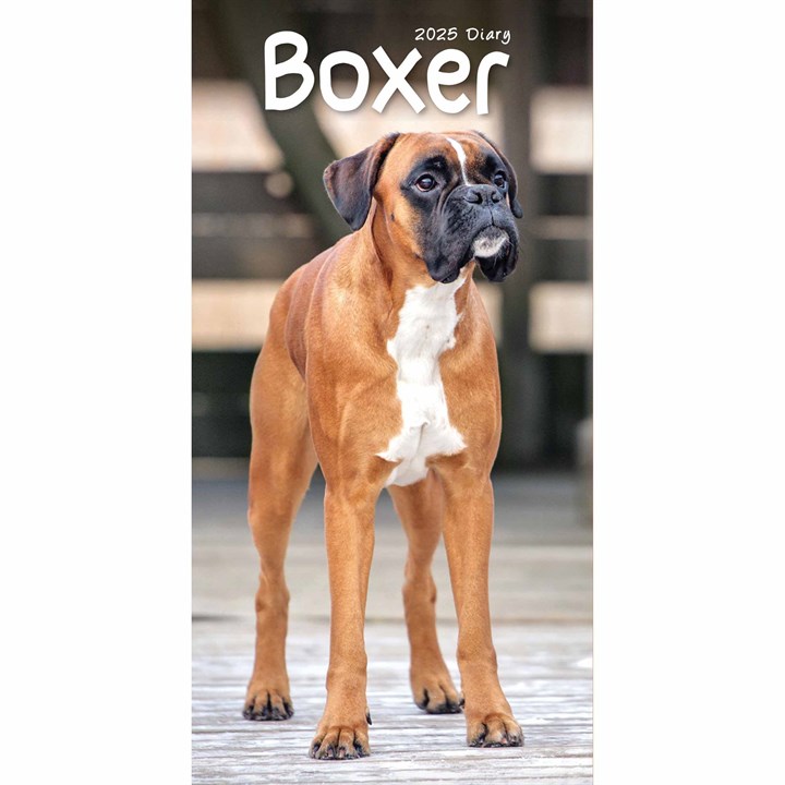 Boxer Slim Diary 2025