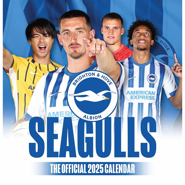 Brighton & Hove Albion FC Easel Desk Calendar 2025