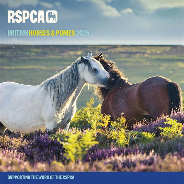 RSPCA, British Horses & Ponies Calendar 2025