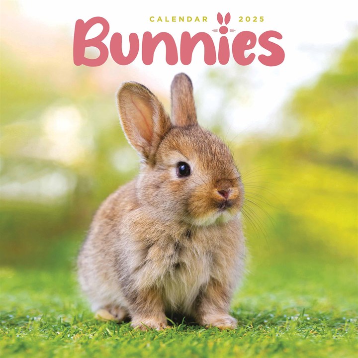 Bunnies Mini Calendar 2025