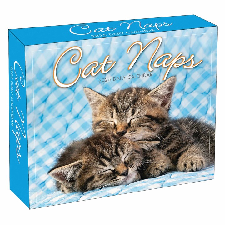 Cat Naps Desk Calendar 2025