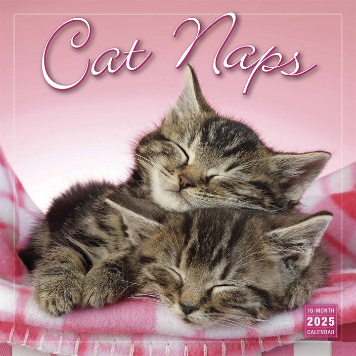 Cat Naps Calendar 2025