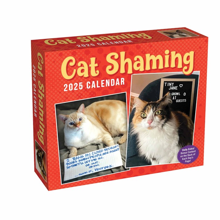 Cat Shaming Desk Calendar 2025