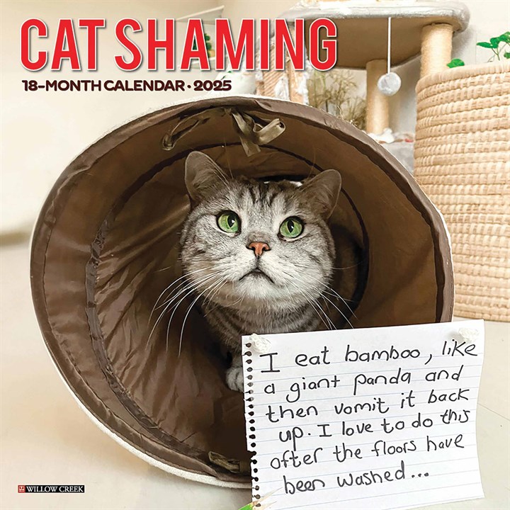 Cat Shaming Calendar 2025