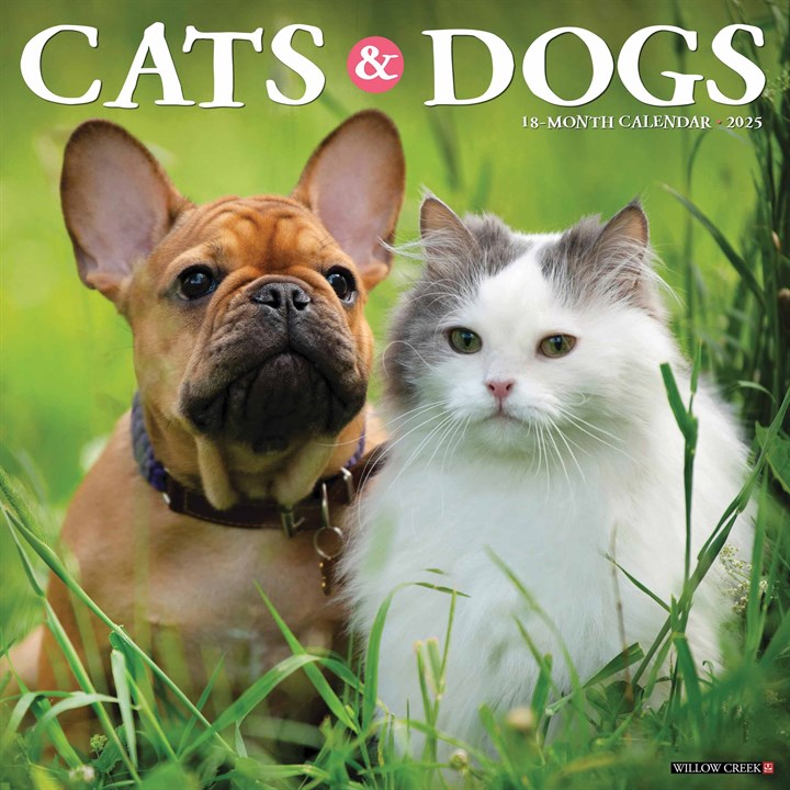 Cats & Dogs Calendar 2025