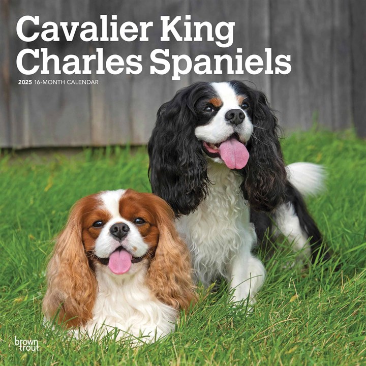 Cavalier King Charles Spaniels Calendar 2025