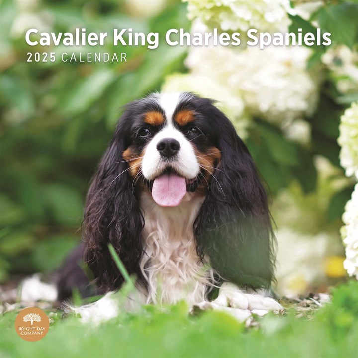 Cavalier King Charles Spaniels Calendar 2025