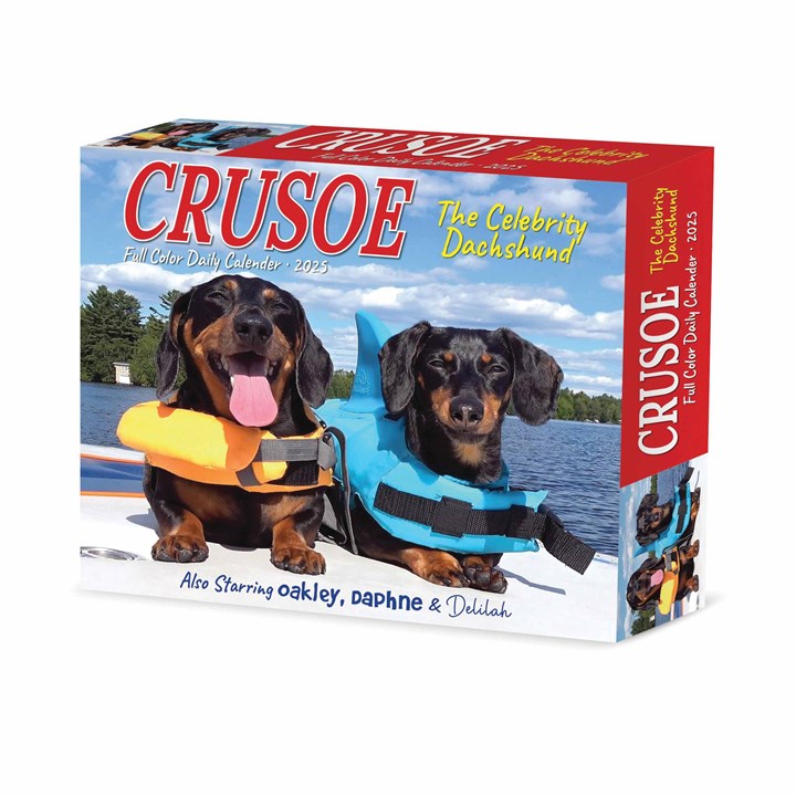 Crusoe The Dachshund Desk Calendar 2025