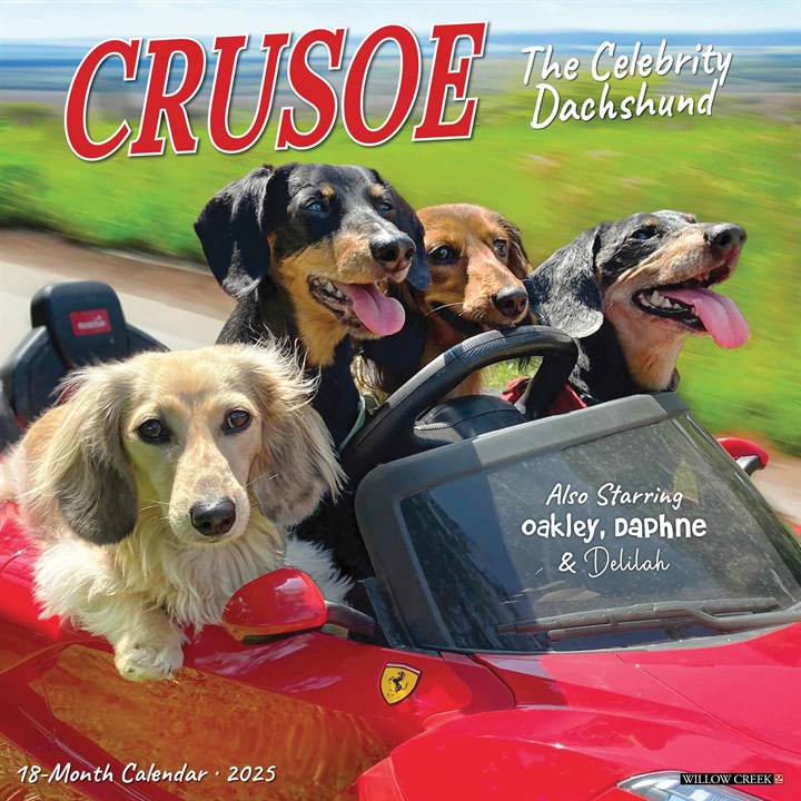 Crusoe The Dachshund Calendar 2025