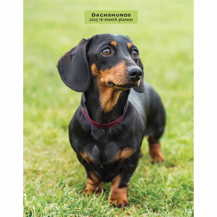 Dachshunds A5 Diary 2025