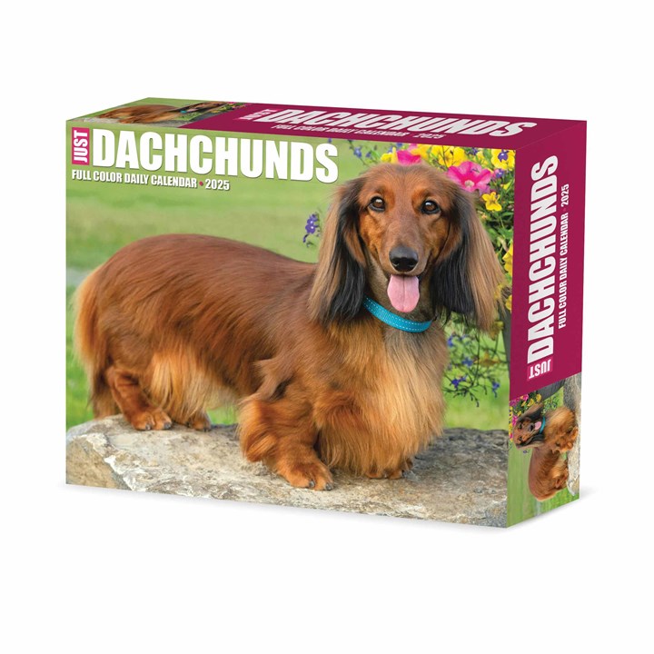 Just Dachshunds Desk Calendar 2025