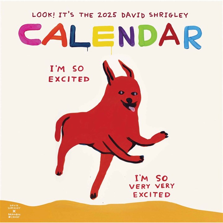 David Shrigley Calendar 2025