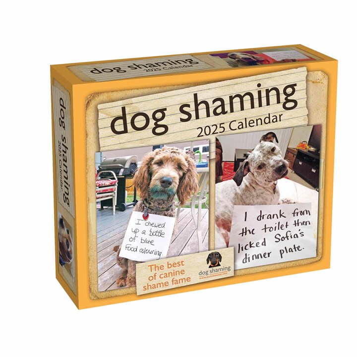 Dog Shaming Desk Calendar 2025