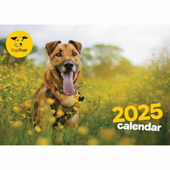 Dogs Trust A4 Calendar 2025