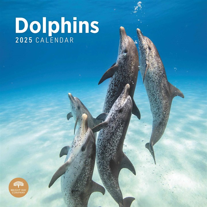 Dolphins Calendar 2025