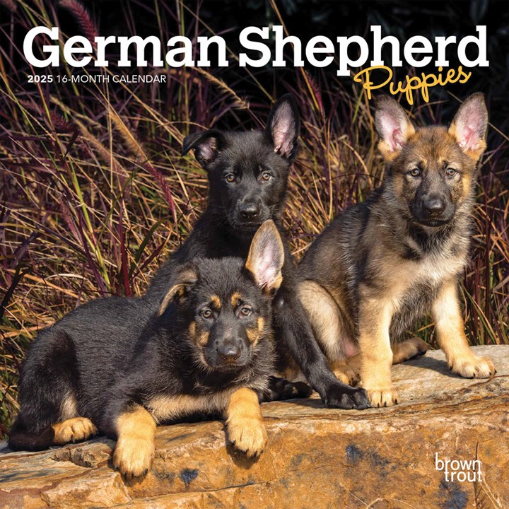 German Shepherd Puppies Mini Calendar 2025