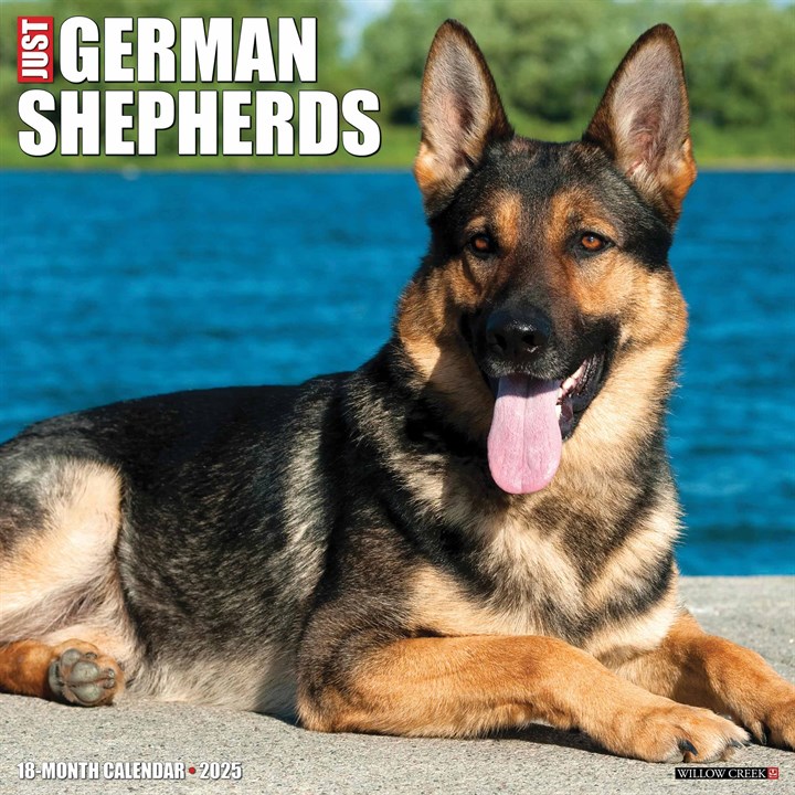 German Shepherds Calendar 2025