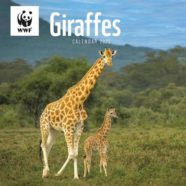 WWF, Giraffes Calendar 2025