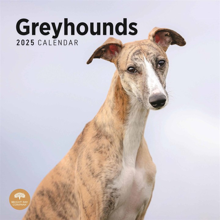 Greyhounds Calendar 2025