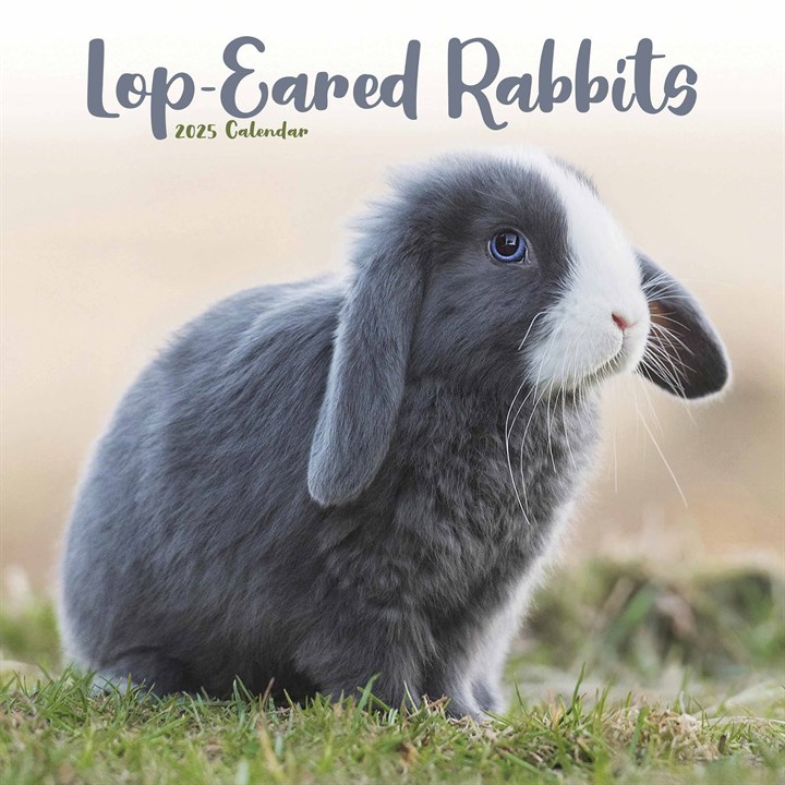 Lop-Eared Rabbits Calendar 2025