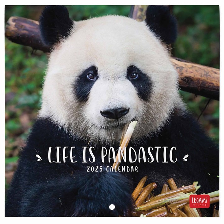 Life is Pandastic Mini Calendar 2025