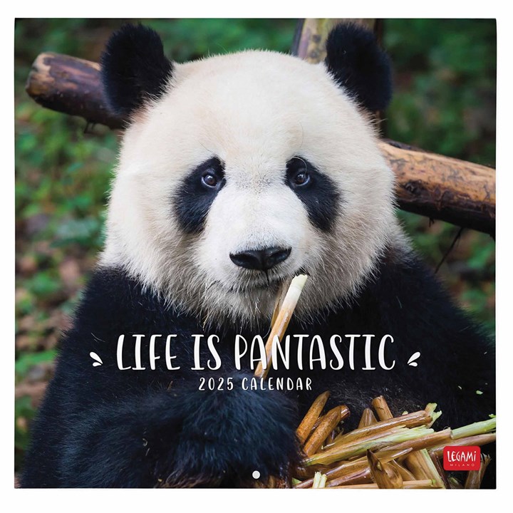 Life is Pandastic Calendar 2025