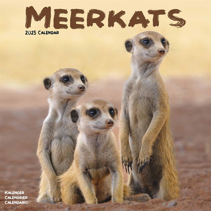 Meerkats Calendar 2025