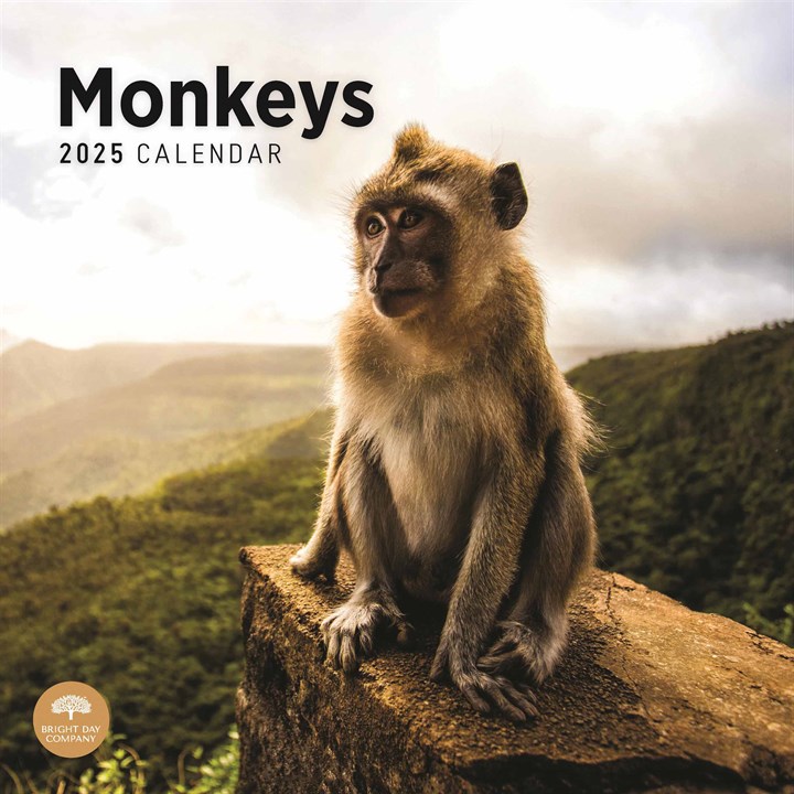Monkeys Calendar 2025