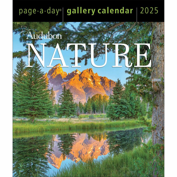 Audubon, Nature Gallery Desk Calendar 2025