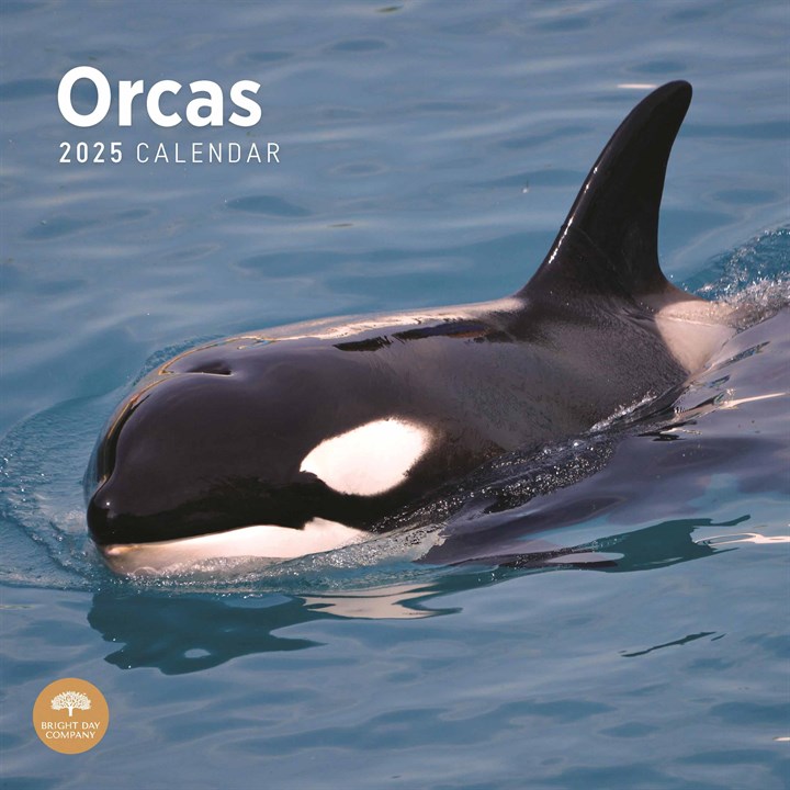 Orcas Calendar 2025