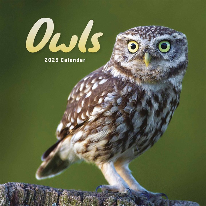 Owls Mini Calendar 2025