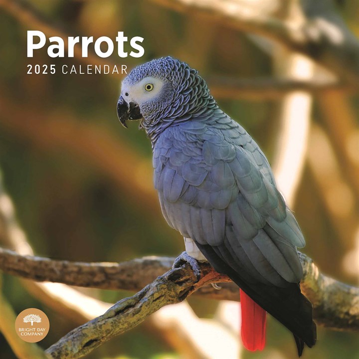 Parrots Calendar 2025