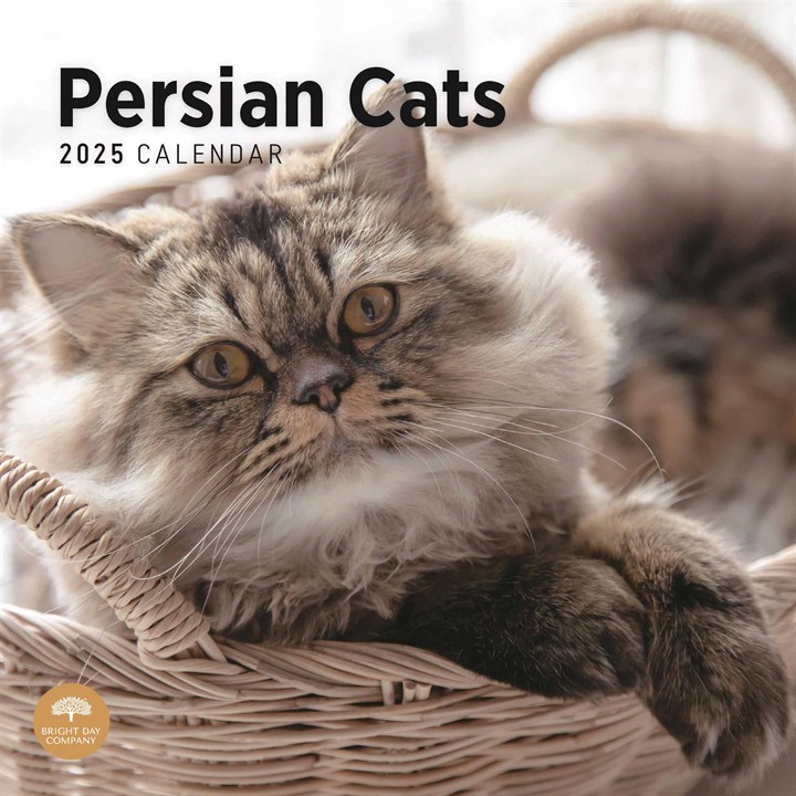 Persian Cats Calendar 2025