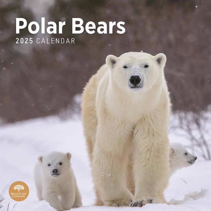 Polar Bears Calendar 2025