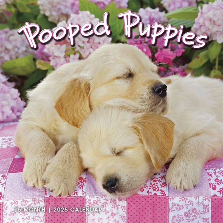 Pooped Puppies Calendar 2025