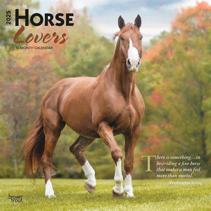 Horse Lovers Calendar 2025