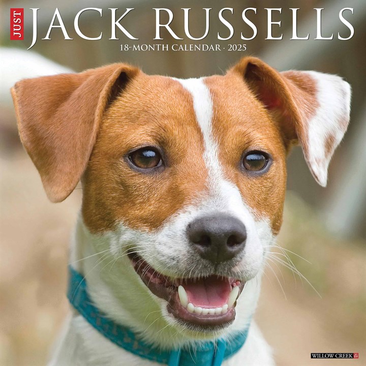 Just Jack Russells Calendar 2025