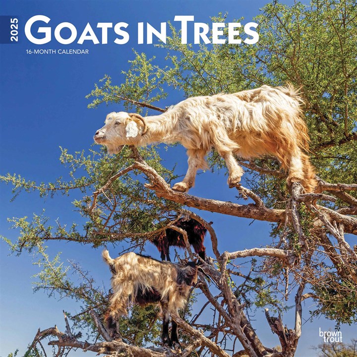 Goats In Trees Calendar 2025