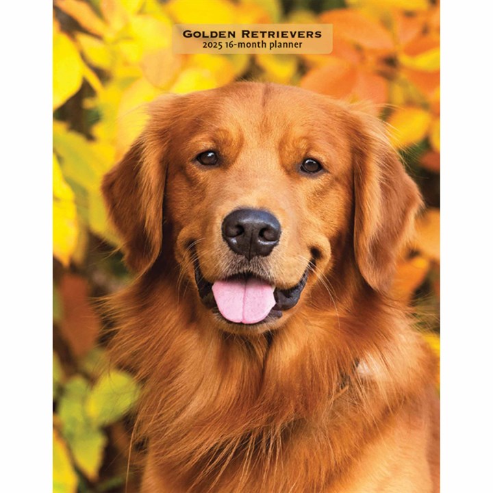 Golden Retrievers A5 Diary 2025