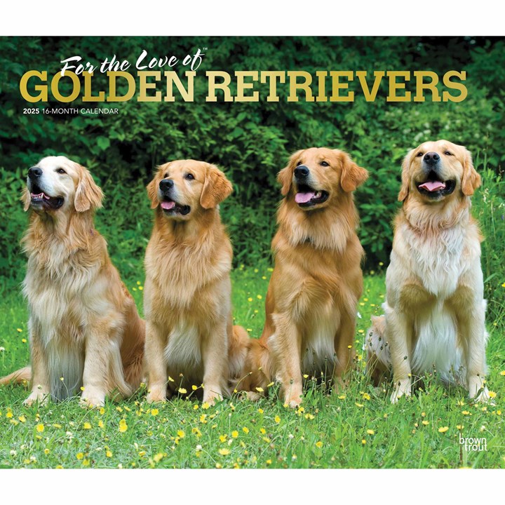 For The Love Of Golden Retrievers Deluxe Calendar 2025