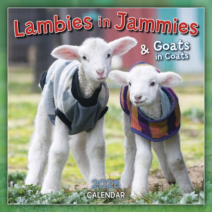 Lambies In Jammies Mini Calendar 2025