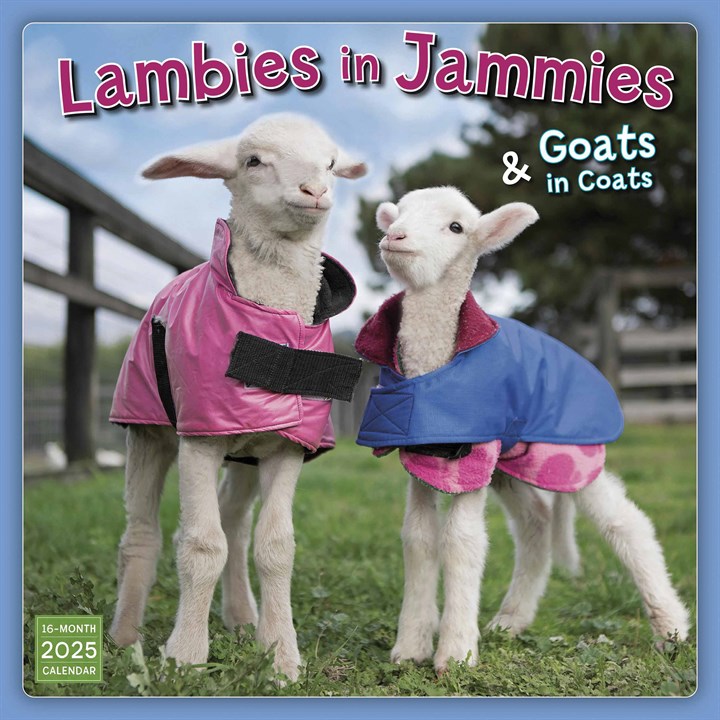 Lambies In Jammies Calendar 2025