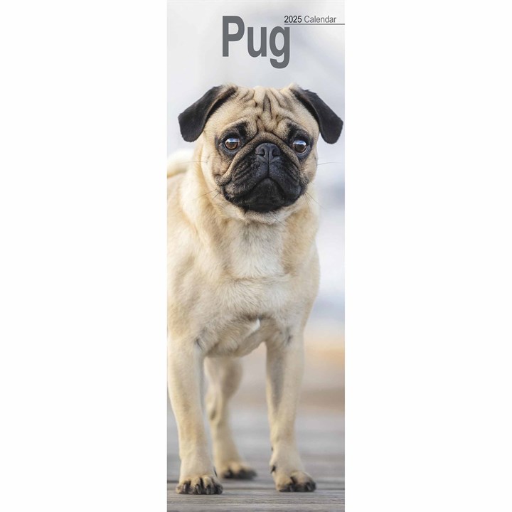 Pug Slim Calendar 2025