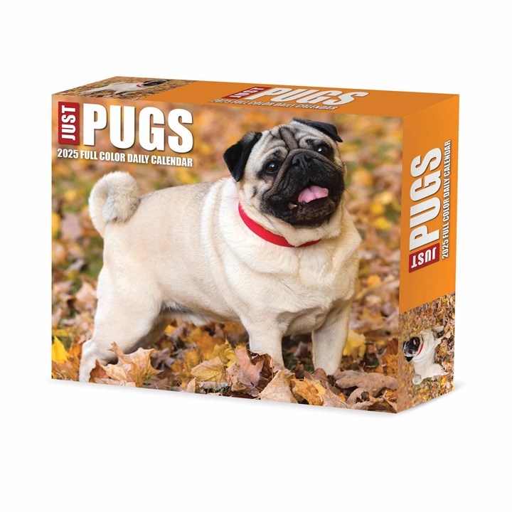 Just Pugs Desk Calendar 2025