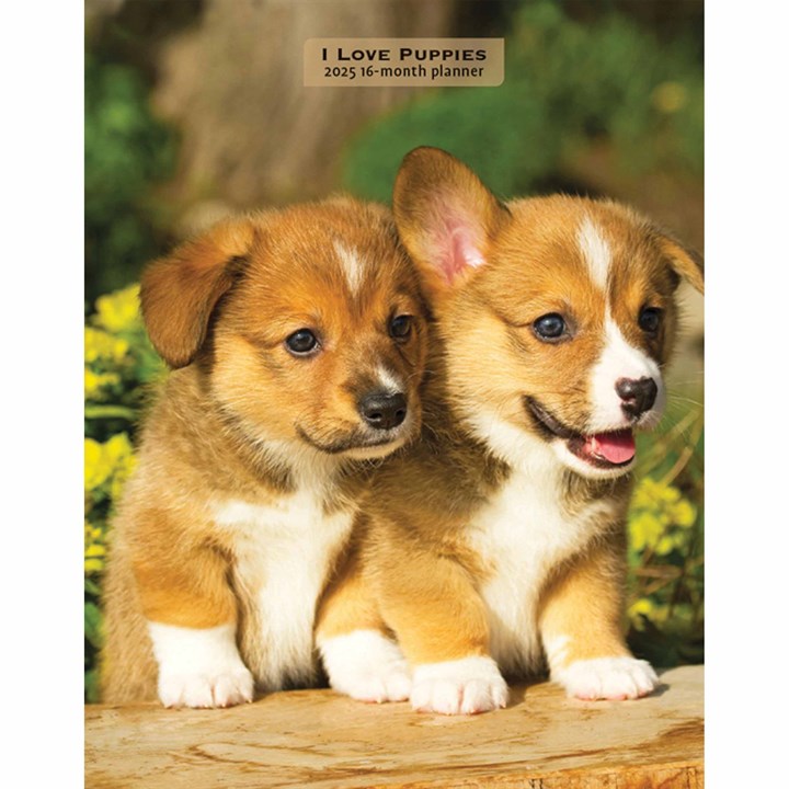 I Love Puppies A5 Diary 2025