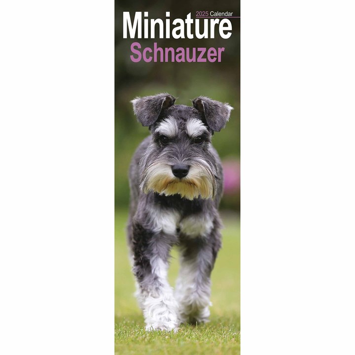 Miniature Schnauzer Slim Calendar 2025